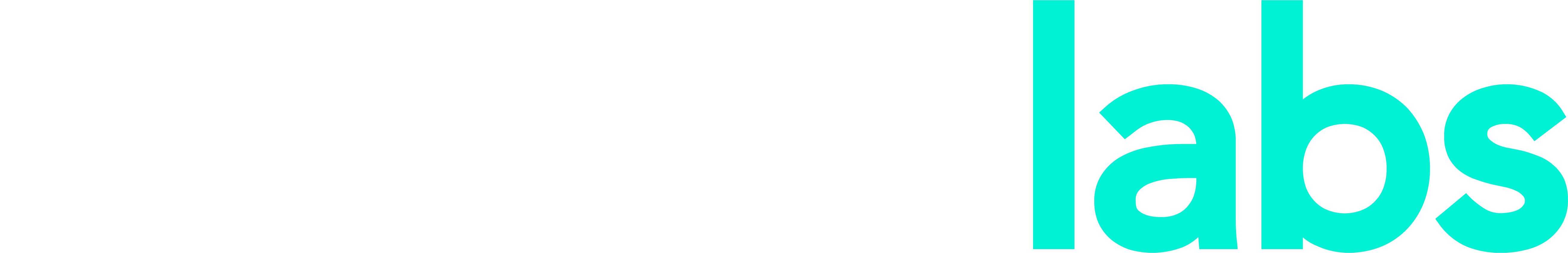 NetBox Labs